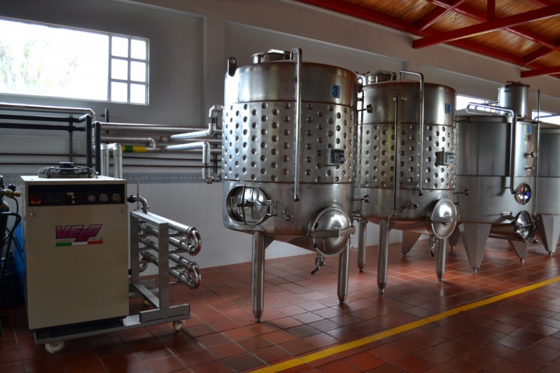 cave-LEVENS-min_wine_production_cantine_winery_drink_alcohol_vine_beverage-902036